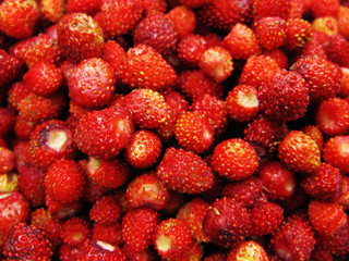 wild strawberry berries fruit dessert