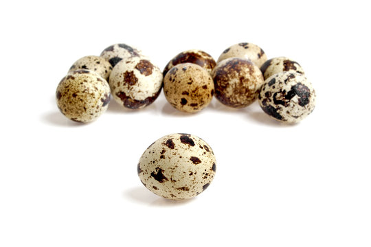 Group of quail eggs on the white background