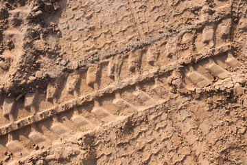 tire tracks in the sand