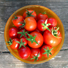 Tomatoes