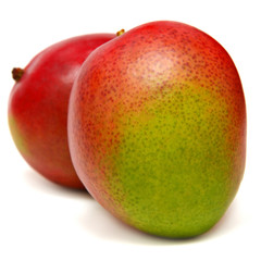 Mango fruit
