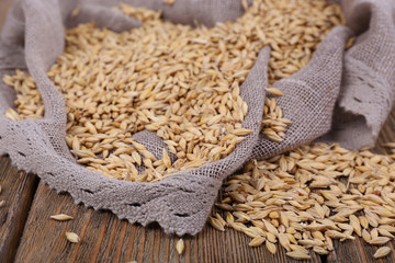 Oat on sackcloth on wooden background