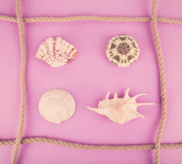 Sea souvenirs on pink background
