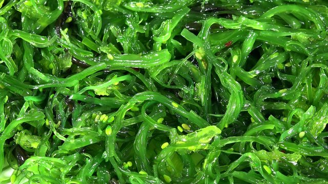Kelp Salad as seamless loopable 4k UHD footage