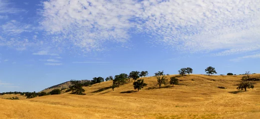 Fotobehang paysage de Californie du Nord © fannyes