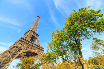 View of a park and Eiffel Tower, Paris, France