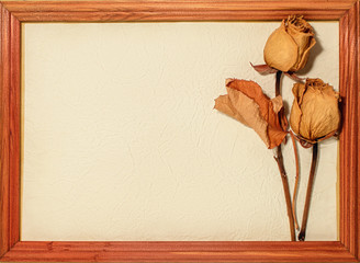 dried roses with space for text