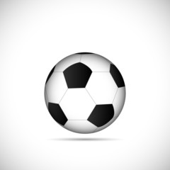 Fototapeta premium Soccer Ball Illustration