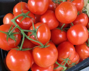 Tomatoes at the greengrocer on the market place