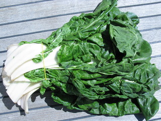 Fototapeta premium Swiss chart or Blitva from Croatia