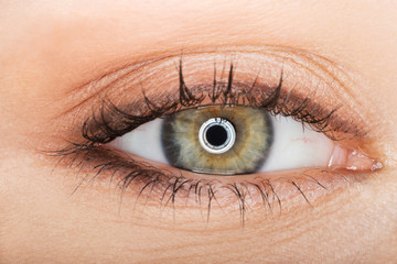 Macro image of female eye