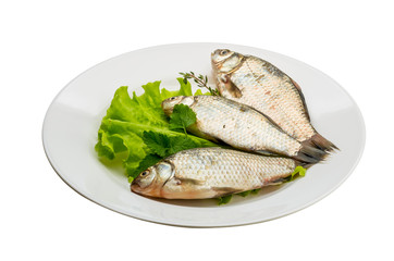 Crucian fish