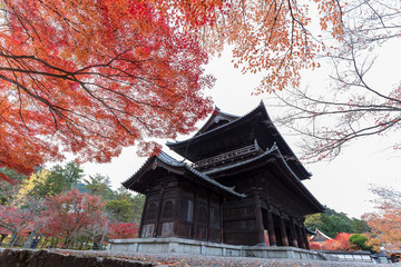 秋の南禅寺三門