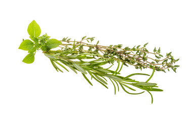 Fresh aroma herbs