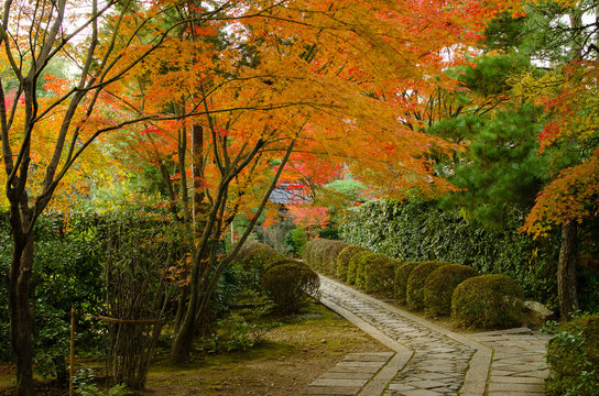 686 Best 大徳寺 Images Stock Photos Vectors Adobe Stock