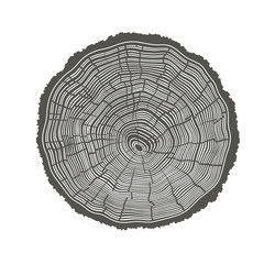 Tree Rings Illustration. Template for annual reports