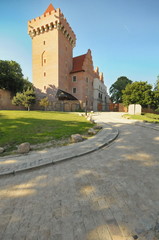 Fototapeta na wymiar Poznan, Posener Königsschloss, Zamek Królewski, #8593