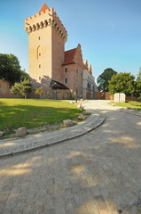 Poznan, Posener Königsschloss, Zamek Królewski,  8593 © till beck