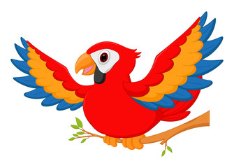 Happy macaw bird cartoon