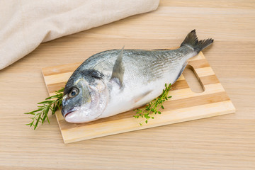 Raw dorado