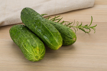 Cucumber