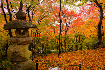 常寂光寺　紅葉