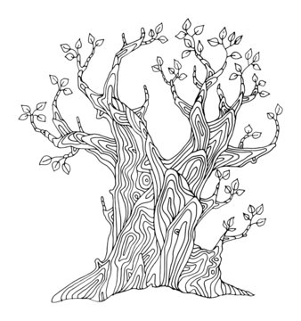 Hand drawing tree