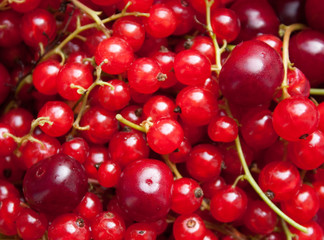 Red currant and cherry 