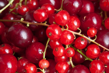 Red currant and cherry 