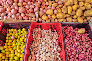onions background