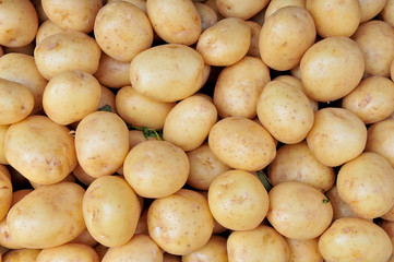 potatoes raw vegetables food background