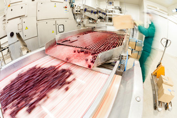 sour cherries in processing machines