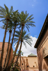 Fototapeta na wymiar Marrakech palmiers
