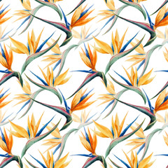 Tropicpattern13