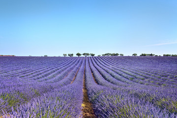 Naklejka na ściany i meble High Provence, Provence Alps Côte d'Azur regions, France