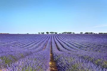  High Provence, Provence Alps Côte d'Azur regions,  France © Gilles-Barattini