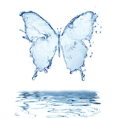 water splash butterfly