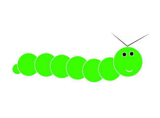 worm