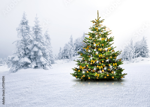 quot christbaum im schnee quot stockfotos und lizenzfreie bilder quot christbaum im schnee quot stockfotos und lizenzfreie bilder