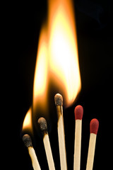 Networking Illustration