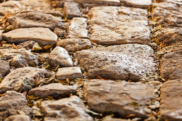 detail of cobblestone path