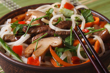 Salad of rice noodles with meat, mushrooms and vegetables macro