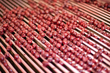 Obraz premium sour cherries in processing machines