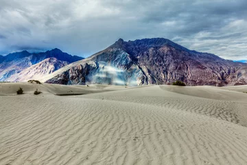 Foto auf Acrylglas Sand dunes in Himalayas. Hunder, Nubra valley, Ladakh © Dmitry Rukhlenko