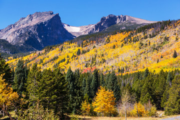 Rocky mountains