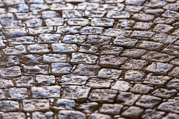Naklejka premium detail of cobblestone path