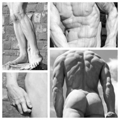 human body art collage - images of famous florentine sculptures
