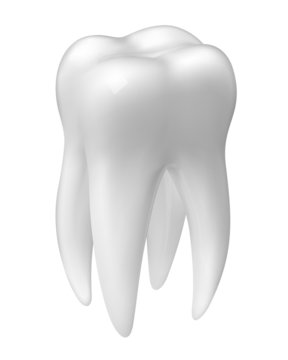 Vector molar tooth icon isolated on white