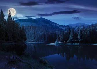 Foto op Plexiglas pine forest near the mountain lake at night © Pellinni