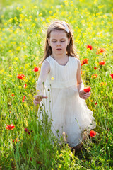 Cute little girl in a meadow with wild flowers